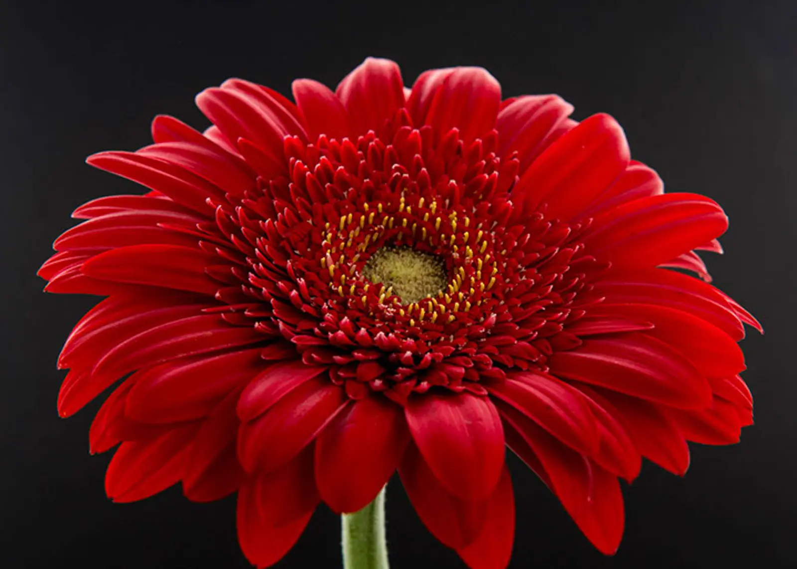 Chris Wiper Photography - Stuff