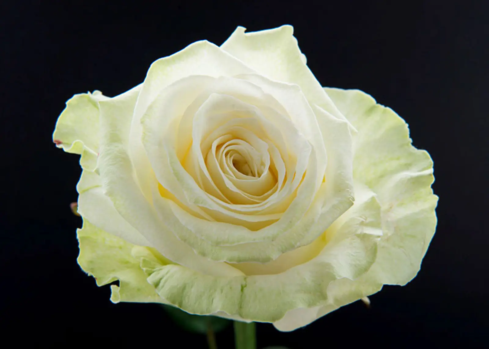 Chris Wiper Photography - Stuff