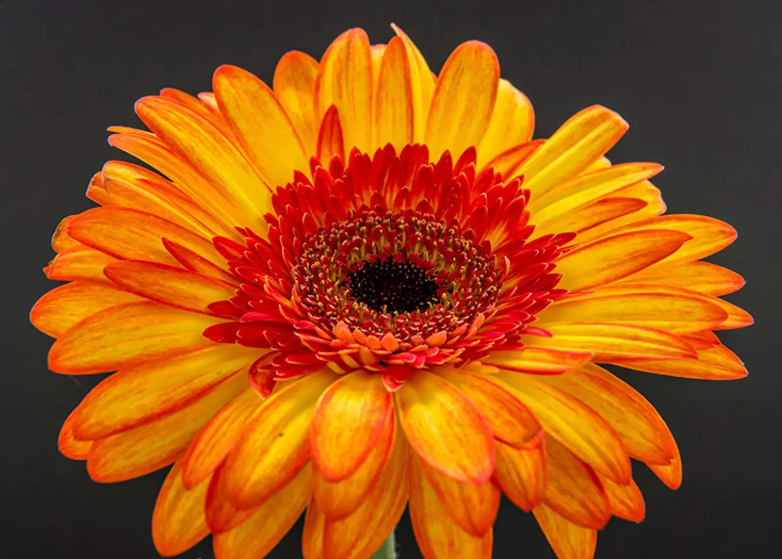 Chris Wiper Photography - Stuff